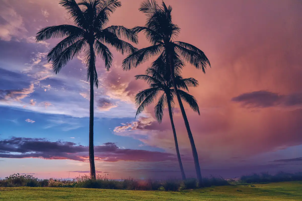 Hawaiian Luau